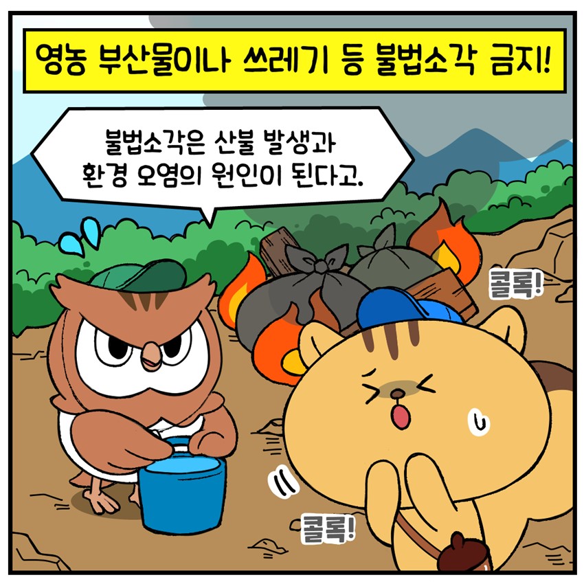 6.건조한 날씨, 산불 예방 수칙 꼭 지켜요!